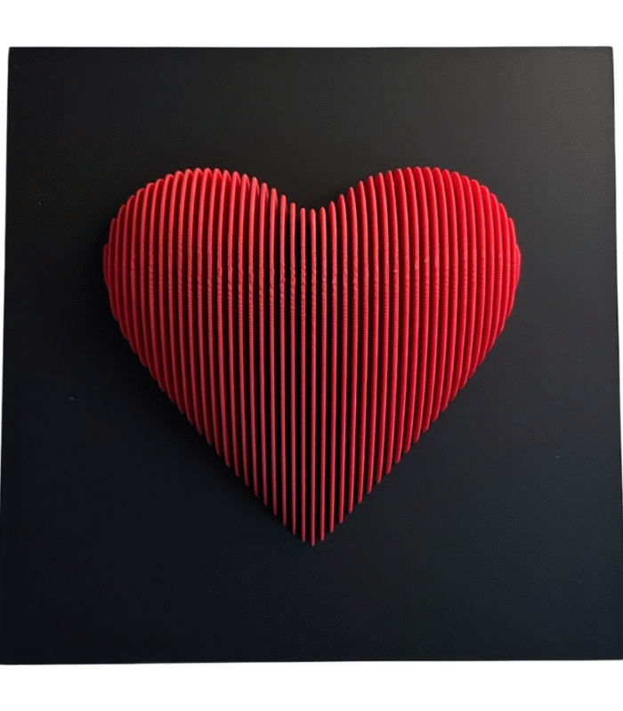 3D Printed Heart Wall Art